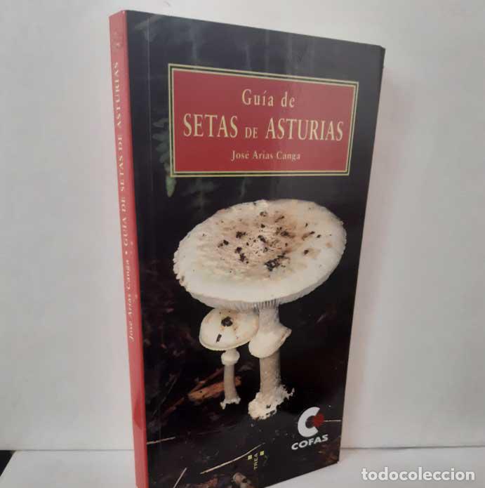 B&uuml;cher: GU&Iacute;A DE SETAS DE ASTURIAS - ARIAS CANGA, JOS&Eacute;