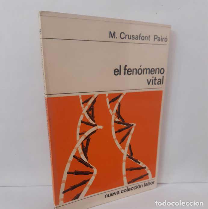 B&uuml;cher: EL FEN&Oacute;MENO VITAL - CRUSAFONT PAIR&Oacute;, M.