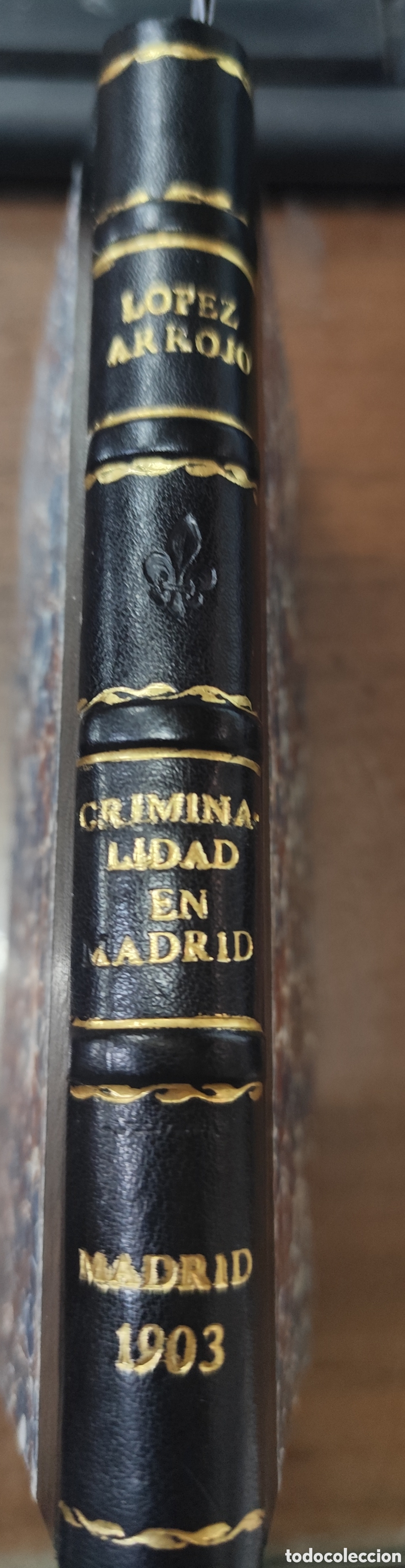 Libros: CRIMINALIDAD EN MADRID. Profilaxis. Relaciones con la beneficencia municipal. 1&ordf; Edici&oacute;n. A&ntilde;o 1903 -