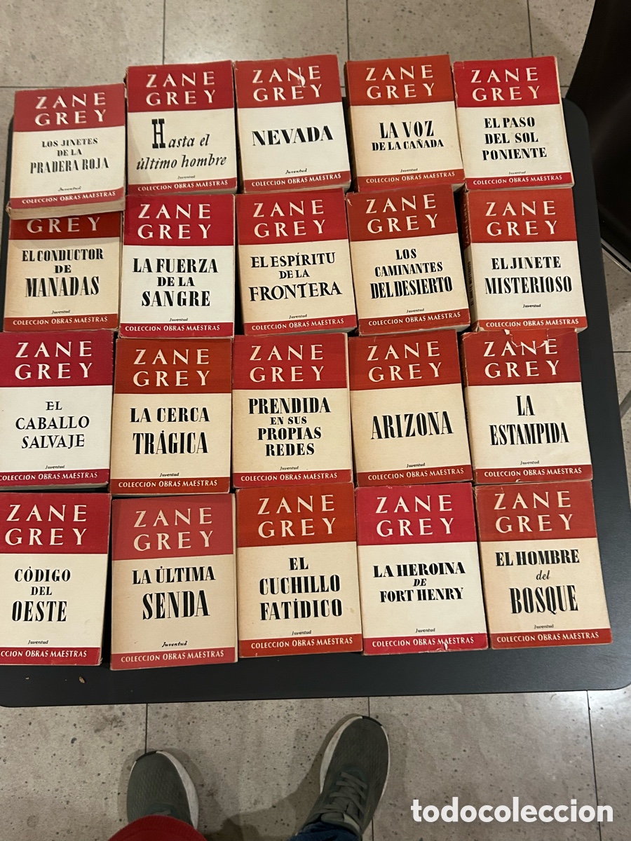 Libros: Colecci&oacute;n Zanne grey. 34 volumenes - Foto 2