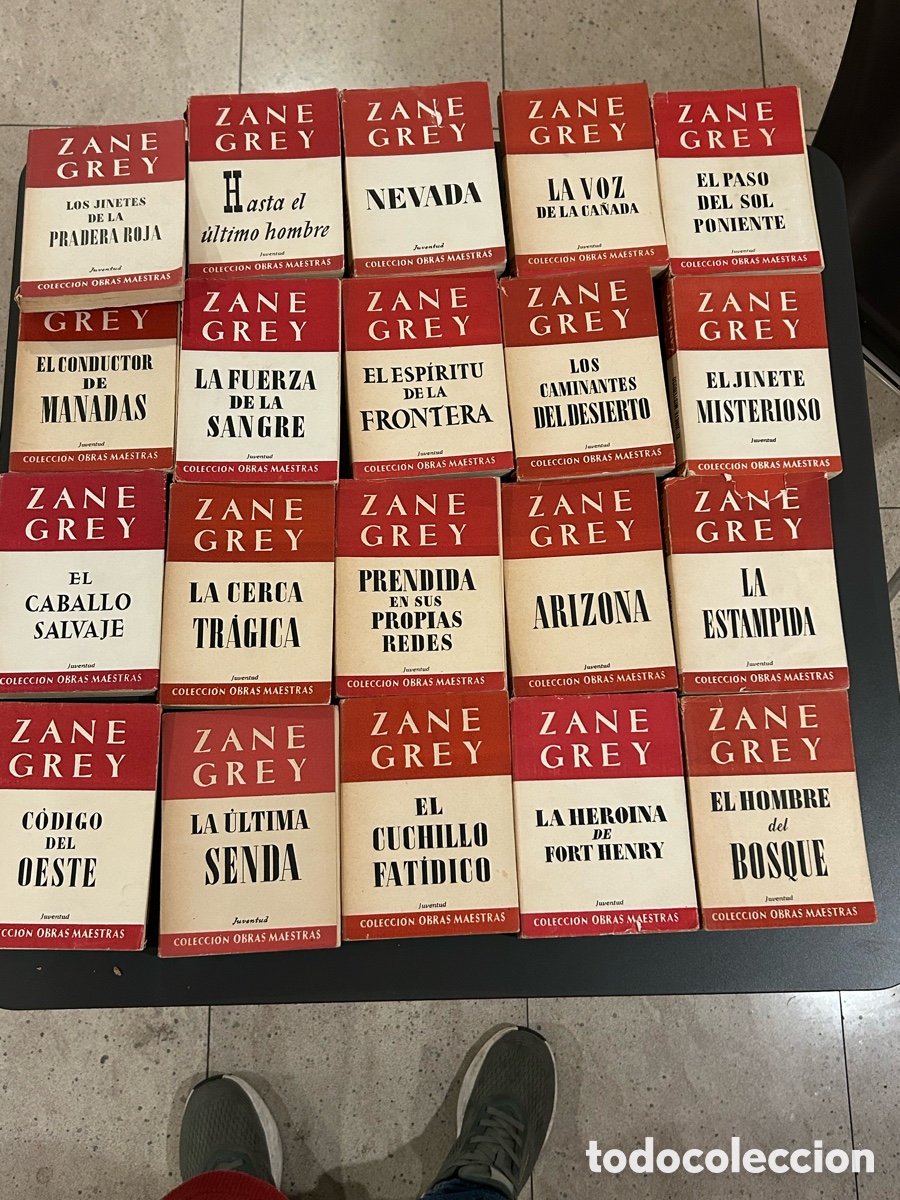 Libros: Colecci&oacute;n Zanne grey. 34 volumenes - Foto 3
