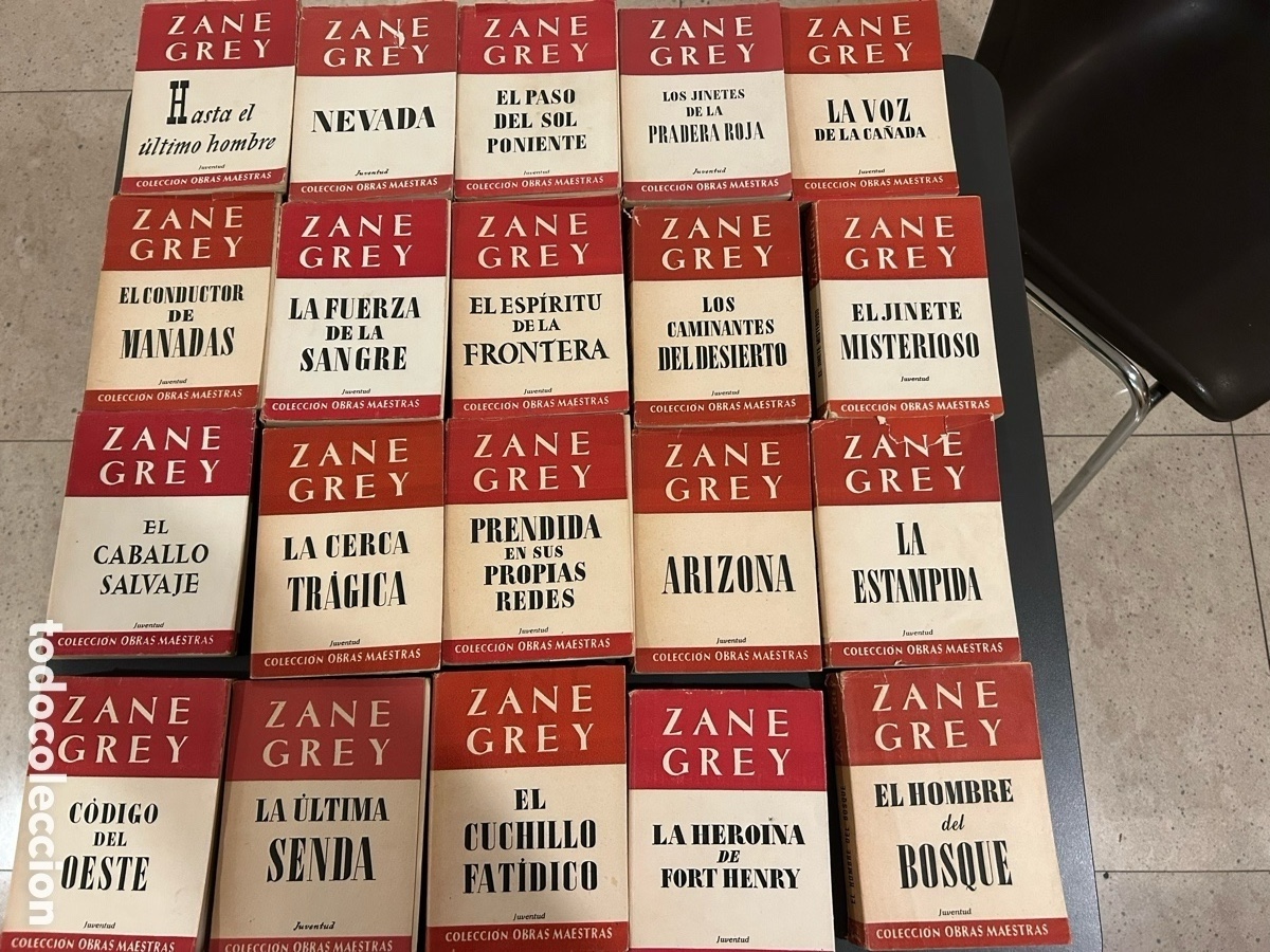 Libros: Colecci&oacute;n Zanne grey. 34 volumenes - Foto 5
