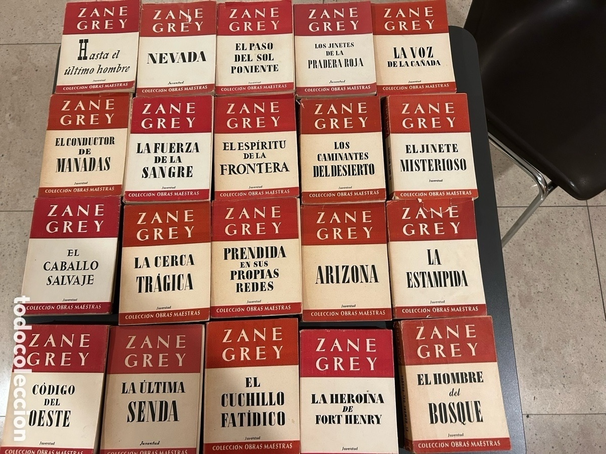 Libros: Colecci&oacute;n Zanne grey. 34 volumenes - Foto 6