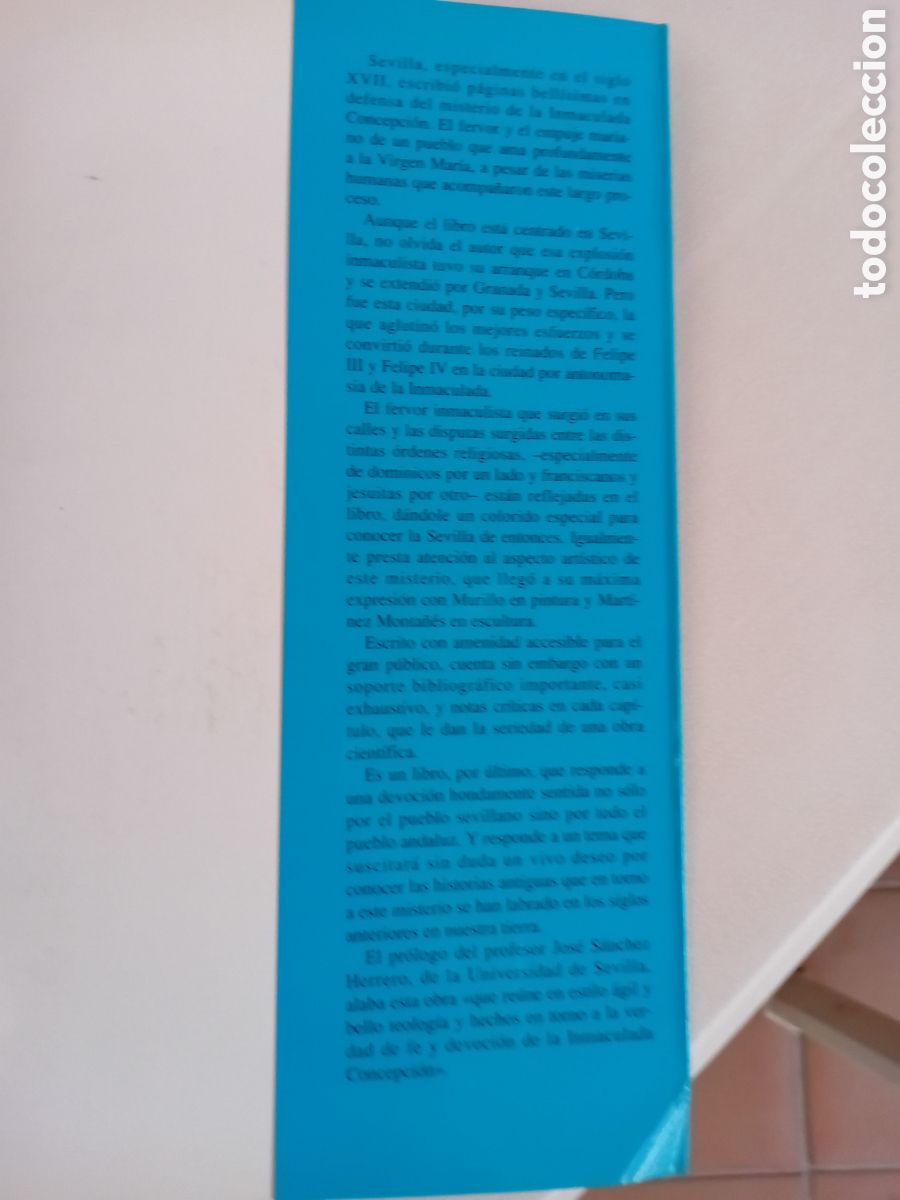 Libros: La Inmaculada y Sevilla. Carlos Ros - Foto 5