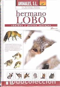 Libros: Hermano Lobo: C&aacute;nidos y perros salvajes - Varios - Circulo Digital - Animales, S.L.