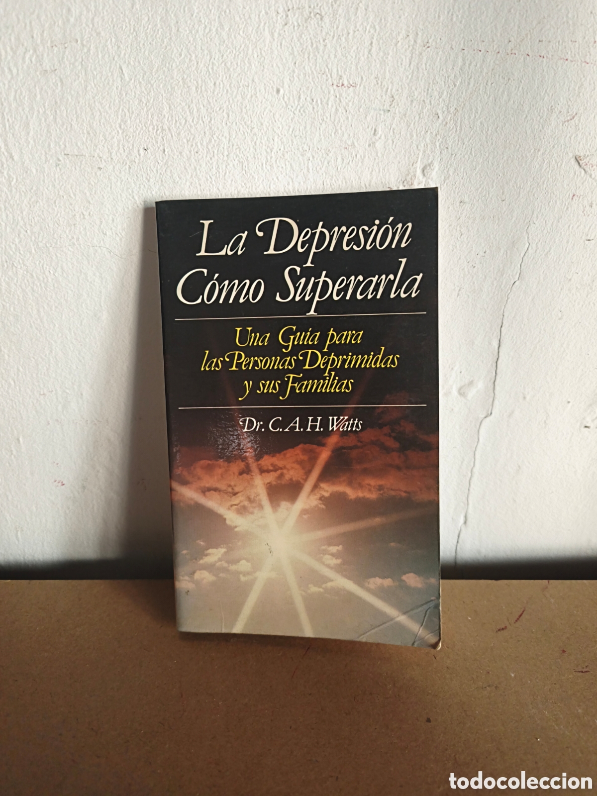Libros: La depresi&oacute;n como superarla