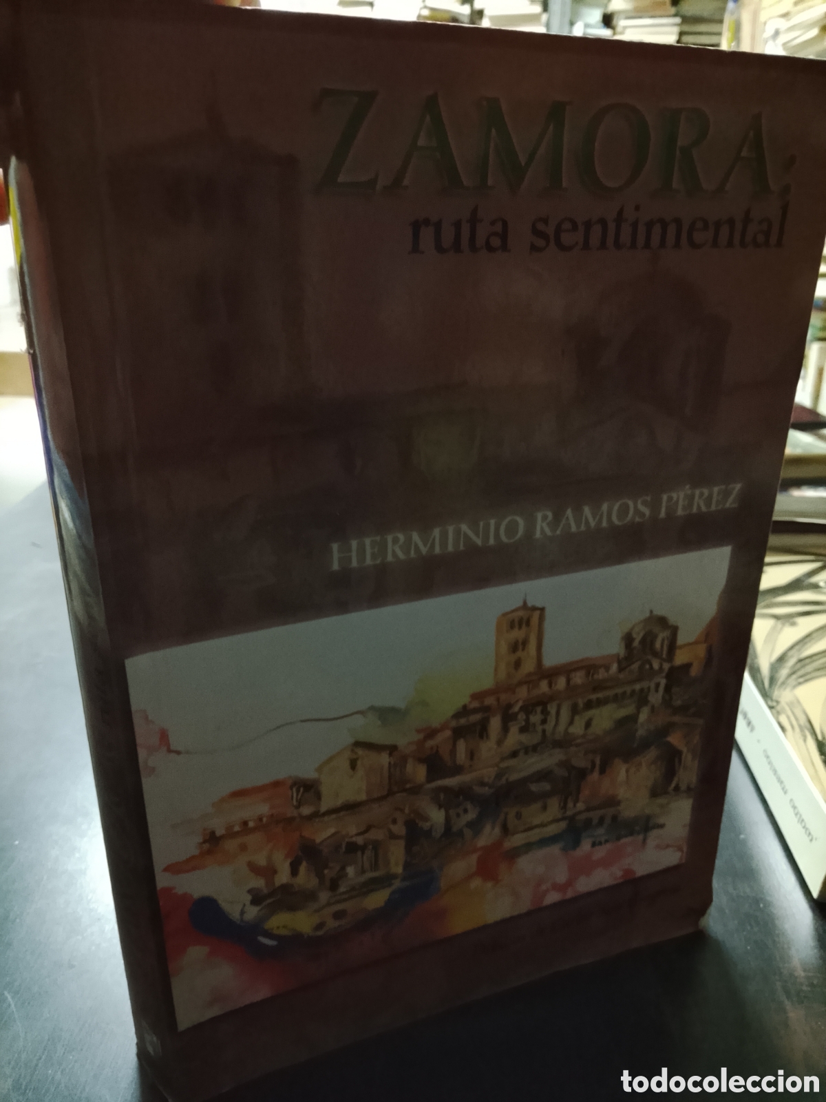 Libros: ZAMORA RUTA SENTIMENTAL - HERMINIO RAMOS PEREZ - Foto 1