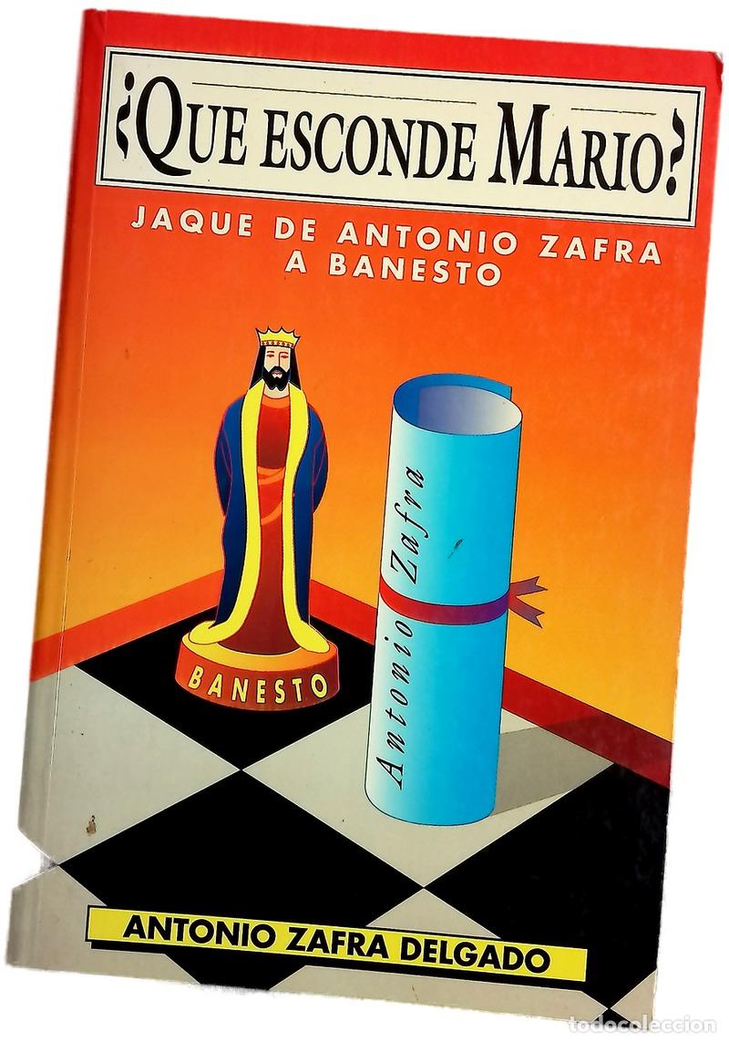 Libros: &iquest;Qu&eacute; esconde Mario? - Zafra Delgado, Antonio