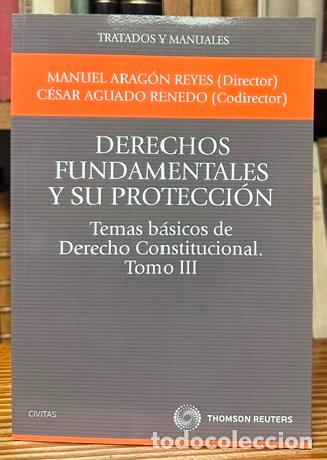Libros: DERECHOS FUNDAMENTALES Y SU PROTECCI&Oacute;N. Temas b&aacute;sicos de Derecho Constitucional. Tomo III - ARAGON R