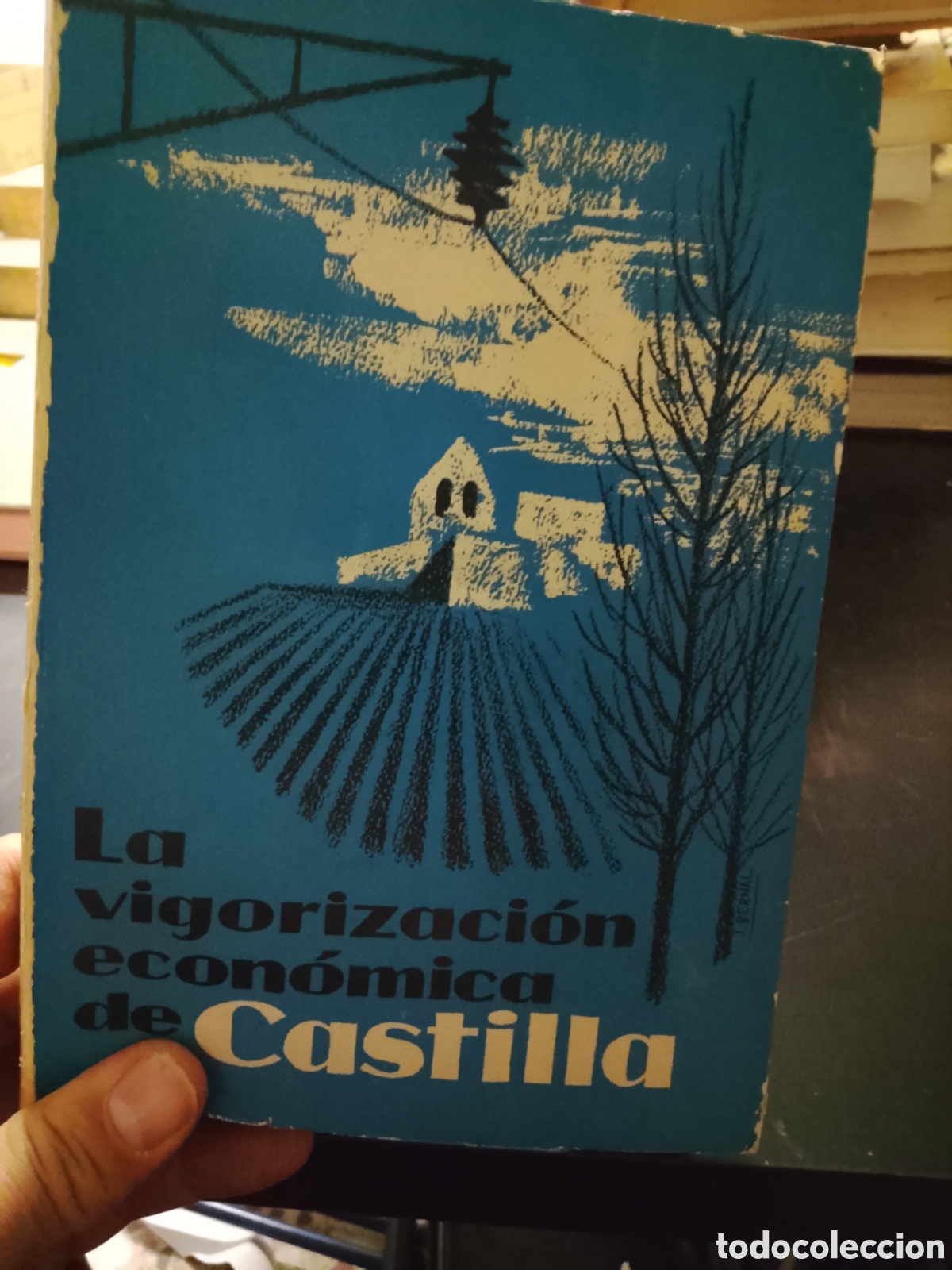 Libros: LA  VIGORIZACION  ECONOMICA   DE CASTILLA  UNA  TAREA  INAPLAZABLE   - VVAA