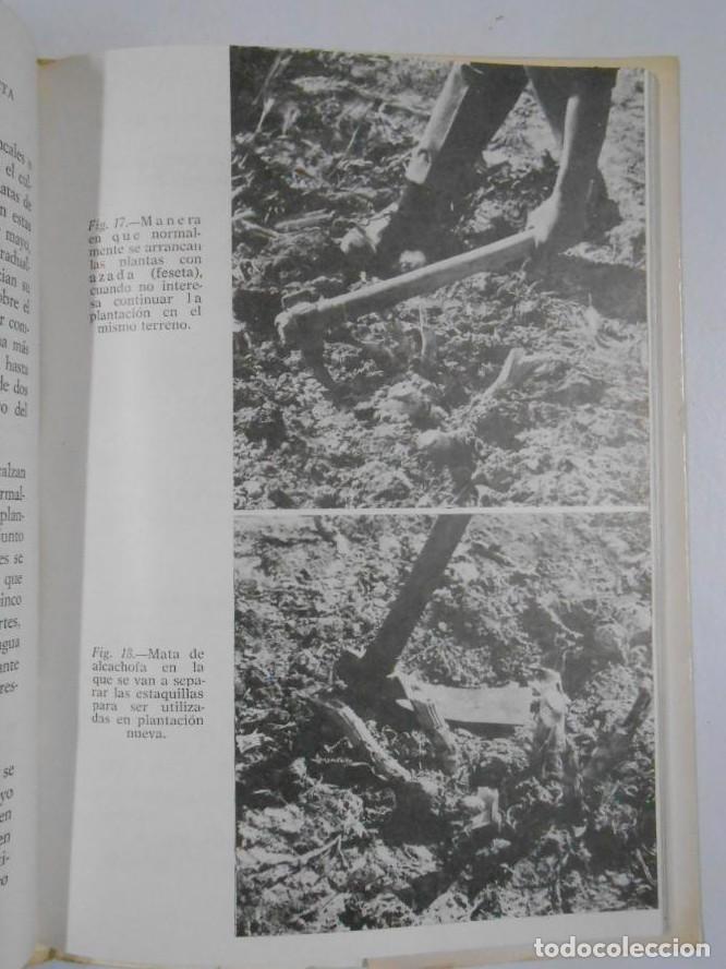 Libros: LA ALCACHOFA - FRANCISCO SALA Y CARLOS CARPINTERO TDK208 - Foto 3