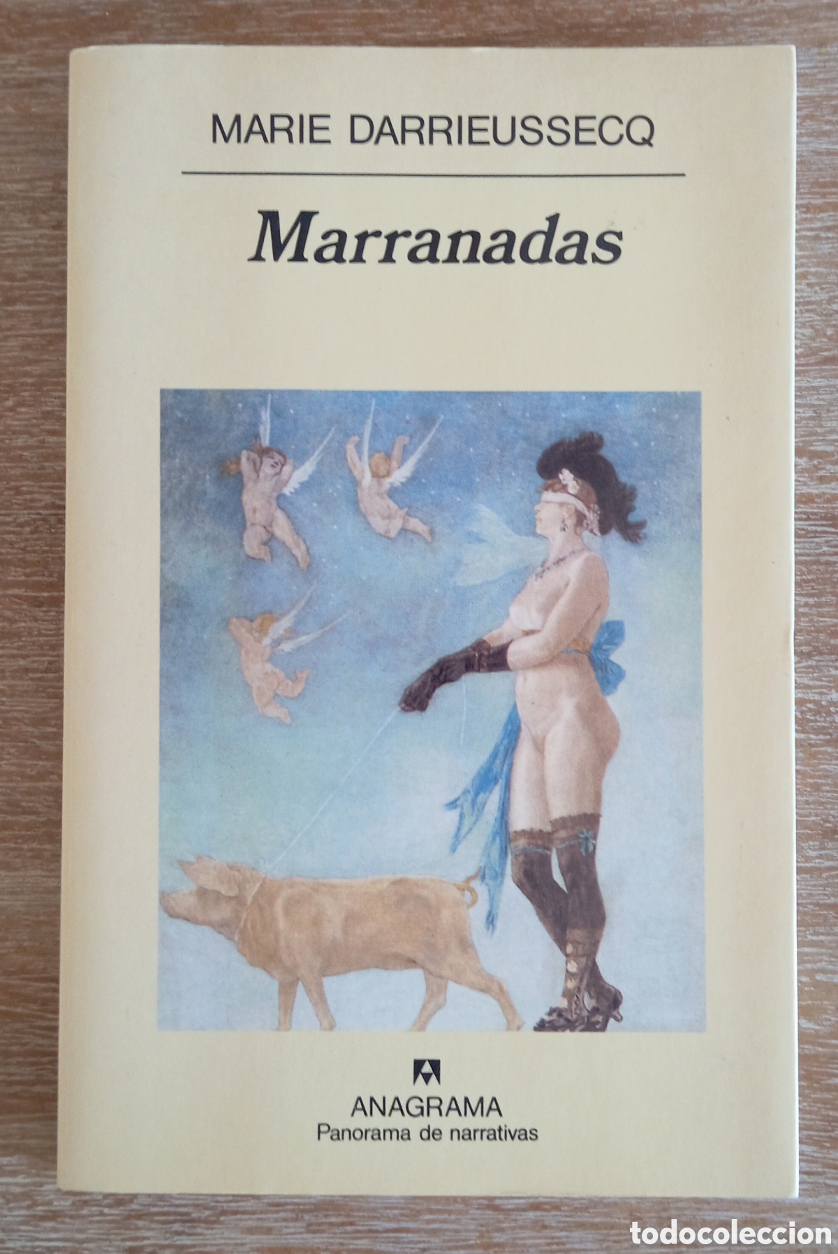 Libros: MARRANADAS - MARIE DARRIEUSSECQ - Foto 1
