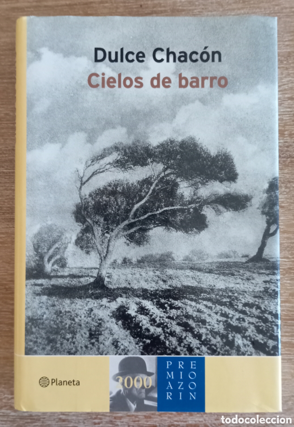 Libros: CIELOS DE BARRO - DULCE CHACON