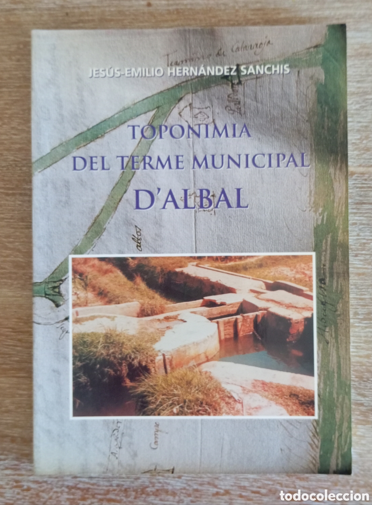 Libros: TOPONIMIA DEL TERME MUNICIPAL D ALBAL - HERNANDEZ