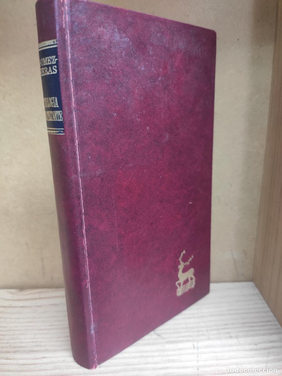 Libros: TEOLOG&Iacute;A PROTESTANTE. Sistema e historia. - Jos&eacute; Mar&iacute;a G. G&oacute;mez-Heras.