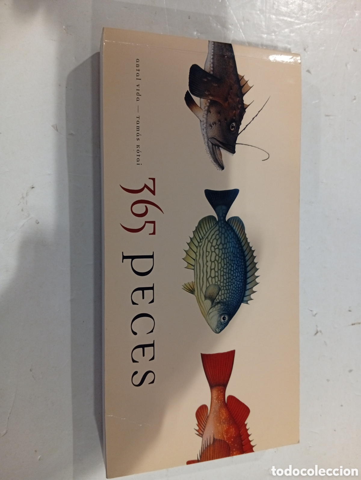Libros: 365 Peces Antal Vida Ilustrado por Tamas Kotai