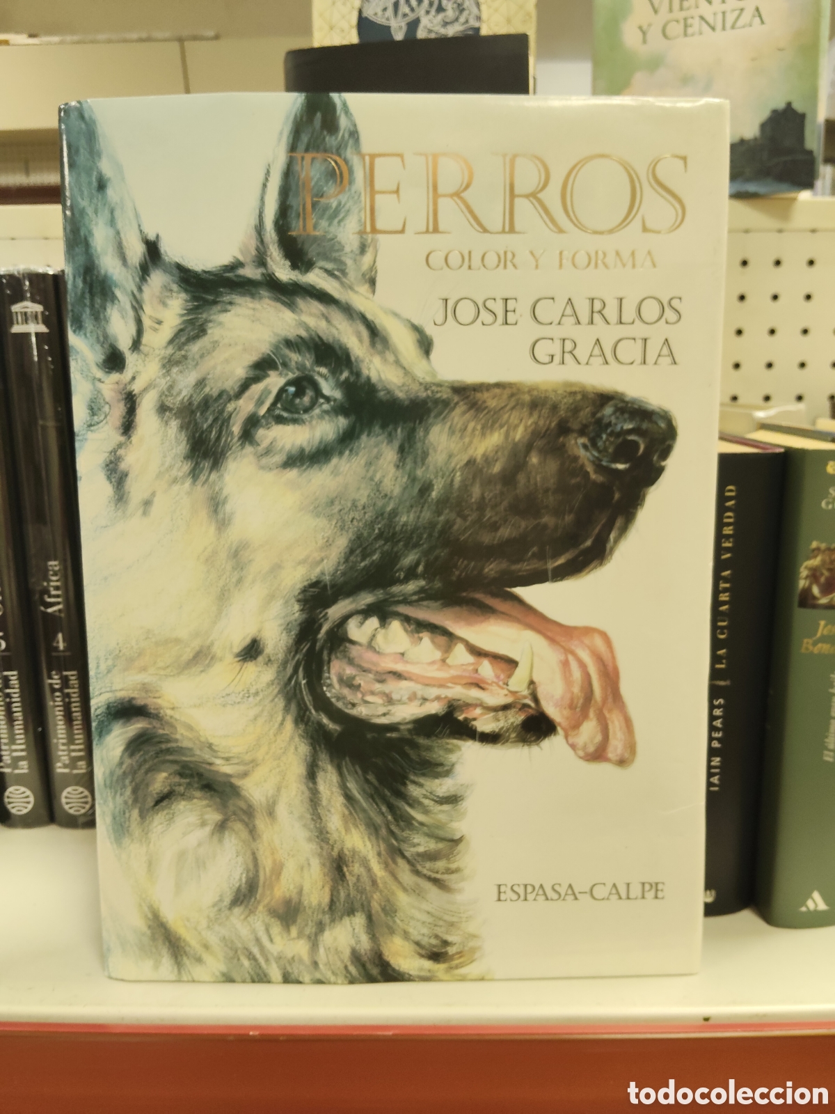 Libros: Perros color y forma. ESPASA - Foto 1