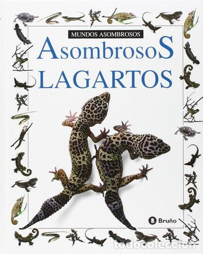 books: Asombrosos Lagartos- 9788421613818