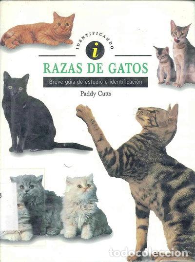 Libros: Razas de gatos- 9788489675025 - Foto 1
