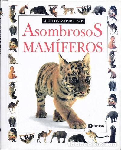 Libros: Asombrosos mam&iacute;feros- 9788421612705