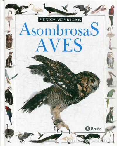 Libros: Asombrosas aves- 9788421612699 - Foto 1