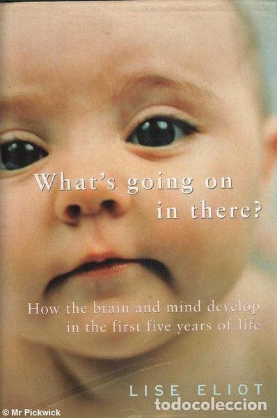 Libri di seconda mano: What's Going on in There?: How the Brain and Mind Develop in the First Five Y...- 9780713992915