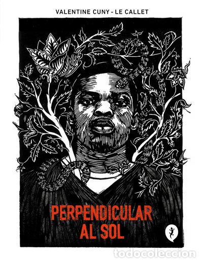 Libros: Perpendicular al sol- 9788419409140 - Foto 1