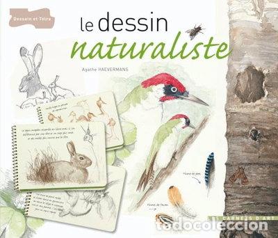 Libros: Le dessin naturaliste- 9782295001177
