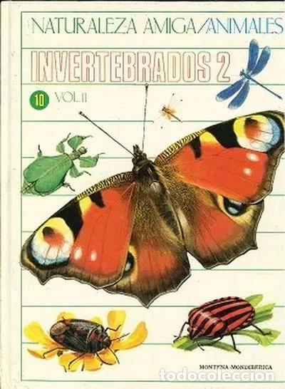 B&uuml;cher: Naturaleza Amiga. Animales. Invertebrados 2. Vol II- 9788475155494