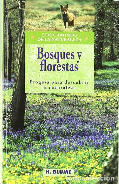 Libros: Bosques y florestas- 9788489840287 - Foto 1