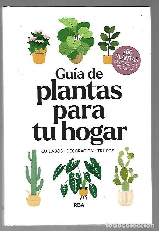 books: GUIA DE PLANTAS PARA TU HOGAR. CUIDADOS, DECORACION, TRUCOS - VARIOS