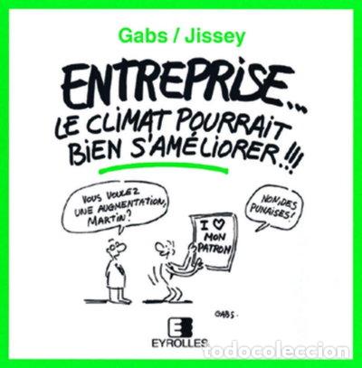 B&uuml;cher: Entreprise... Le climat pourrait bien s'am&eacute;liorer !!!- 9782212035803