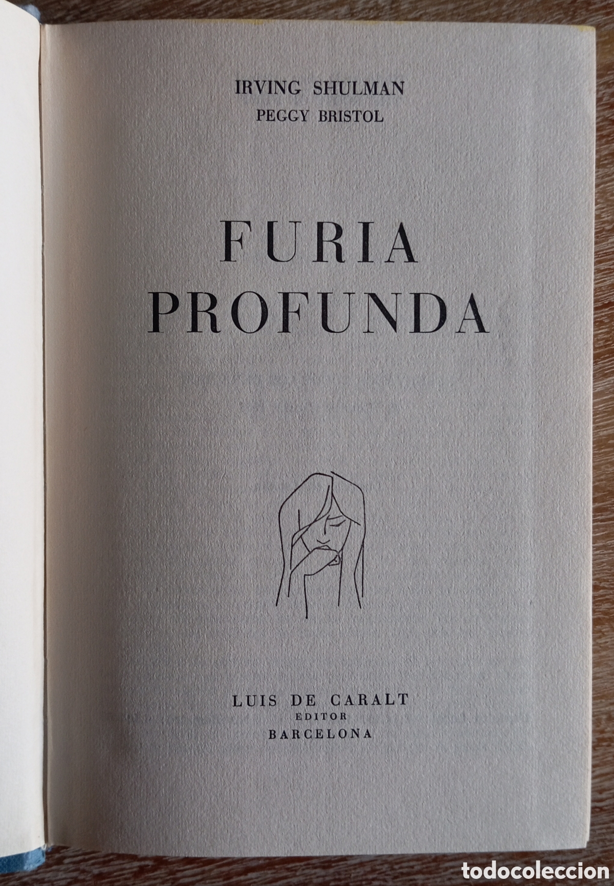 Libros: FURIA PROFUNDA - IRVING SHULMAN - Foto 2