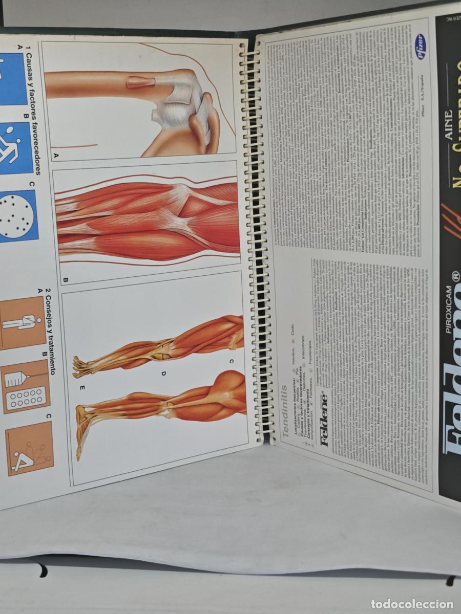 Libros: ATLAS DE medicina general - edimsa - tdk841 - - Foto 3