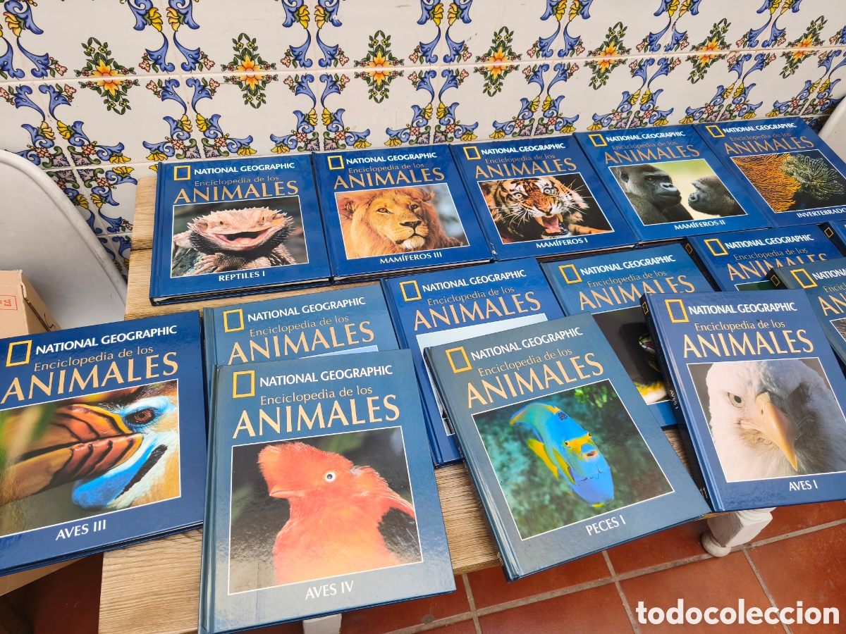 Libros: 15 tomos enciclopedia de los animales National