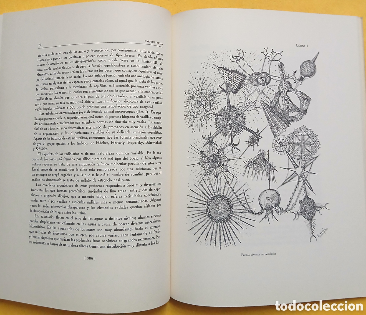 Libros: Madrid, cuadernos de la casa de la cultura - Foto 18