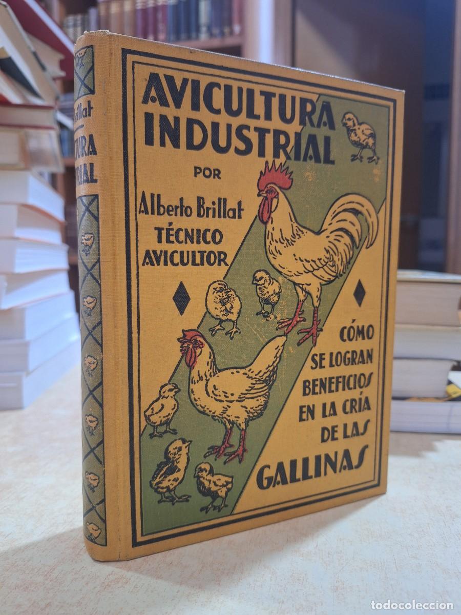 Libri di seconda mano: AVICULTURA INDUSTRIAL. C&oacute;mo se logran beneficios en la cr&iacute;a de la gallinas. - BRILLAT, ALBERTO.