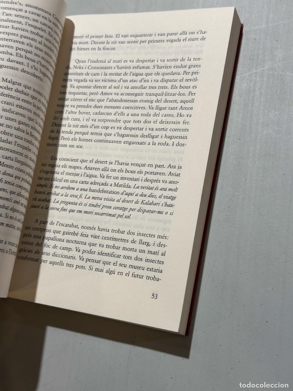 Libros: Henning Mankell - El fill del vent - Foto 2