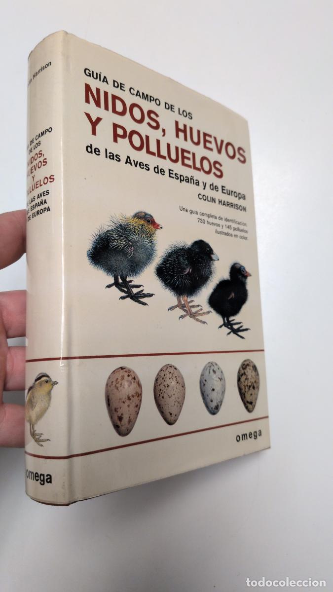 Libros: Gu&iacute;a de campo de los nidos, huevos y polluelos de las aves de Espa&ntilde;a y de Europa - COLIN HARRISON