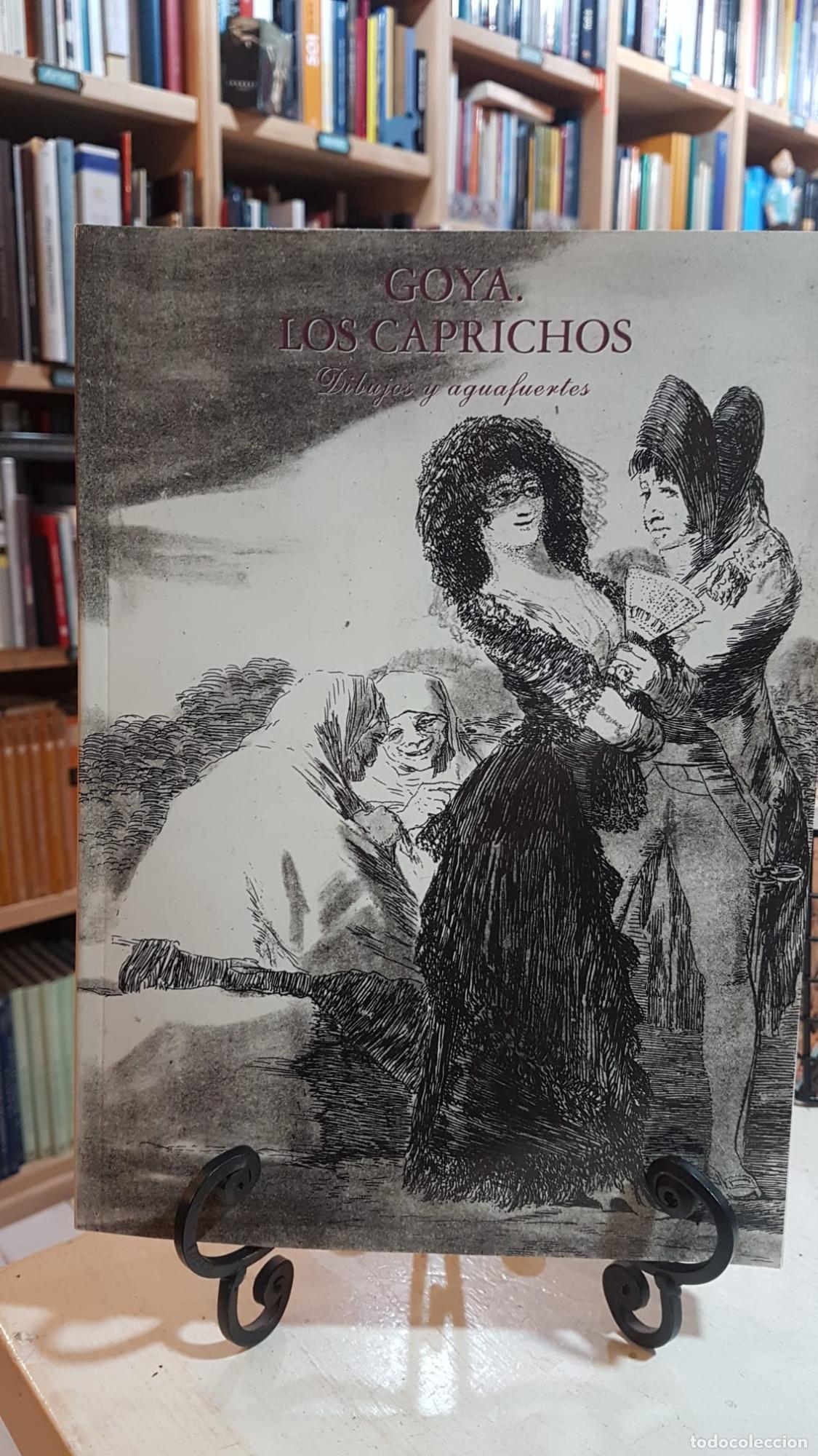 Libros: Goya - FRANCISCO DE GOYA