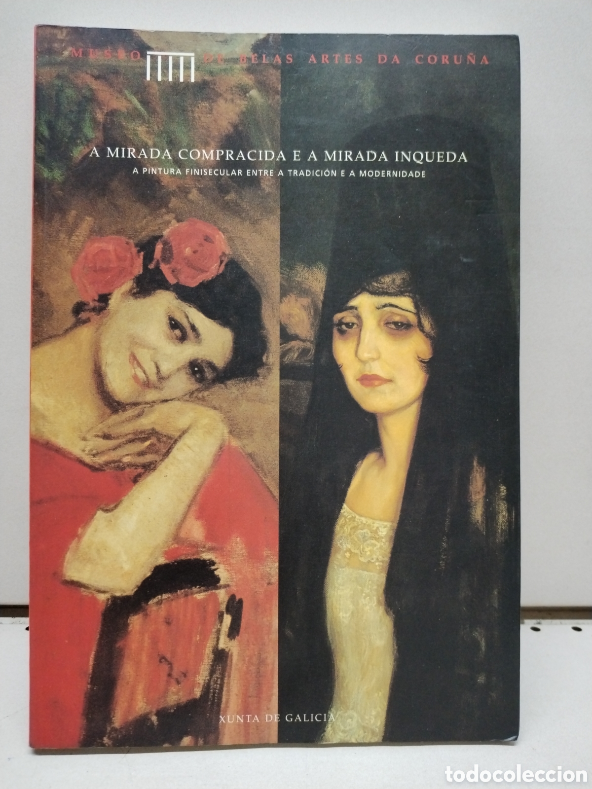 A mirada compracida e a mirada inqueda - AA VV