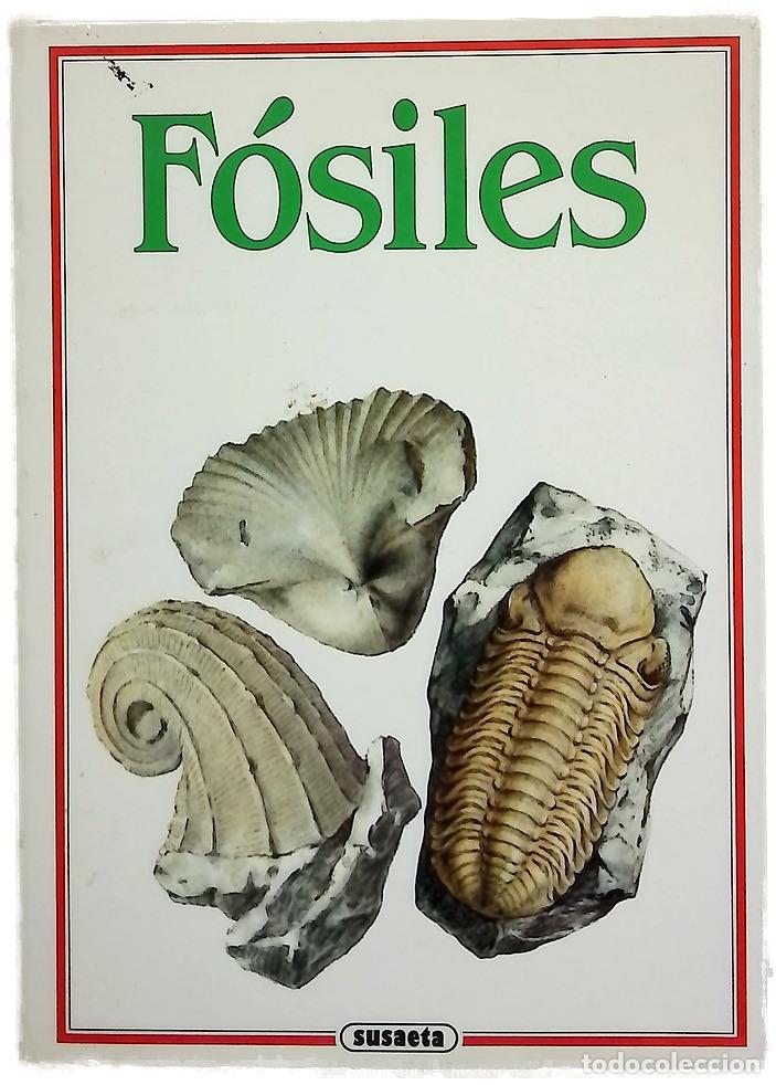 Livros em segunda m&atilde;o: Fosiles - Rudolf Prukop - Susaeta
