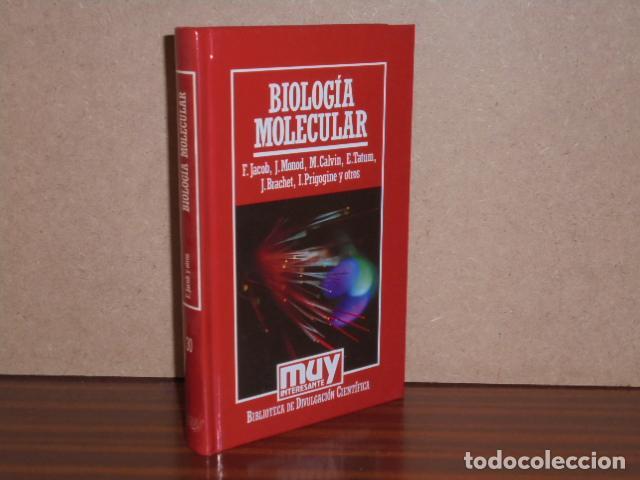 Libri di seconda mano: BIOLOG&Iacute;A MOLECULAR - VV. AA.
