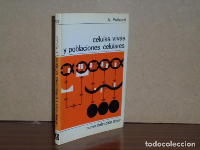 Libri di seconda mano: C&Eacute;LULAS VIVAS Y POBLACIONES CELULARES - Policard, A.