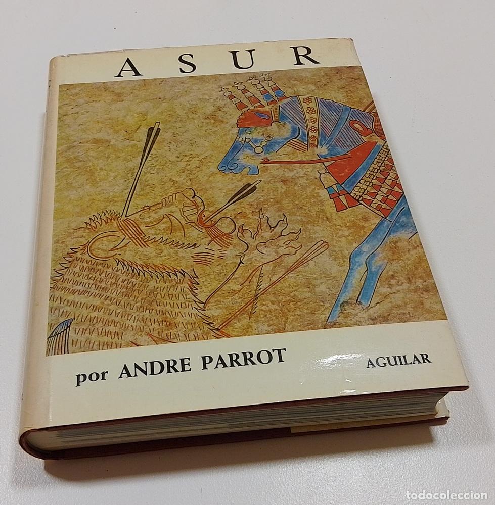 Libros: Asur (en espa&ntilde;ol) - Andr&eacute; Parrot