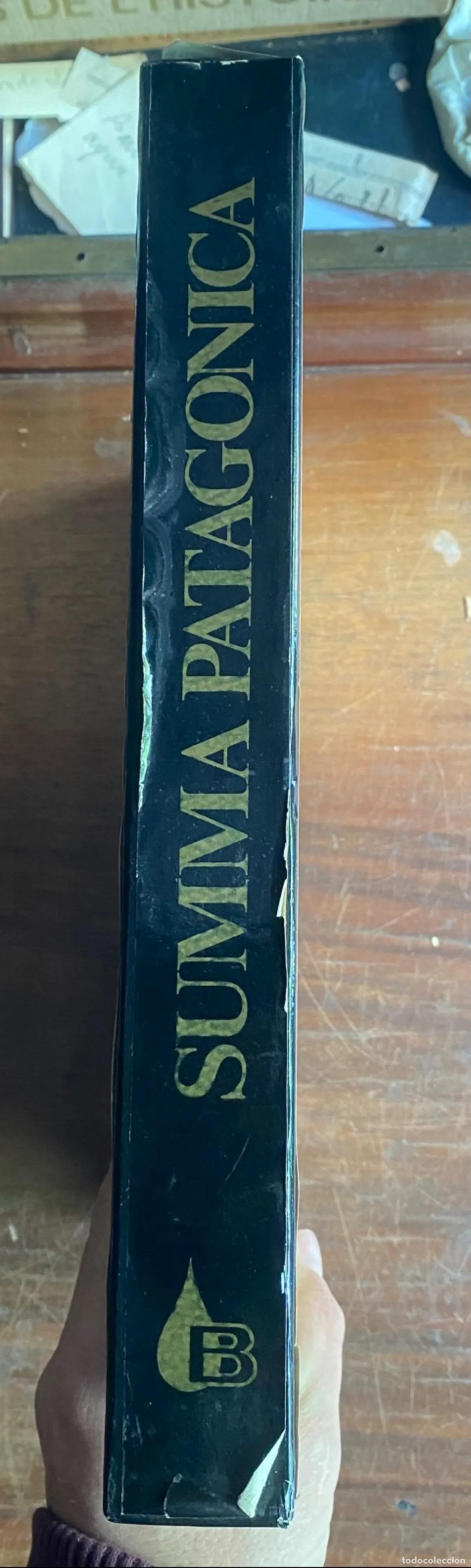 B&uuml;cher: Bulgheroni - Summa patagonica