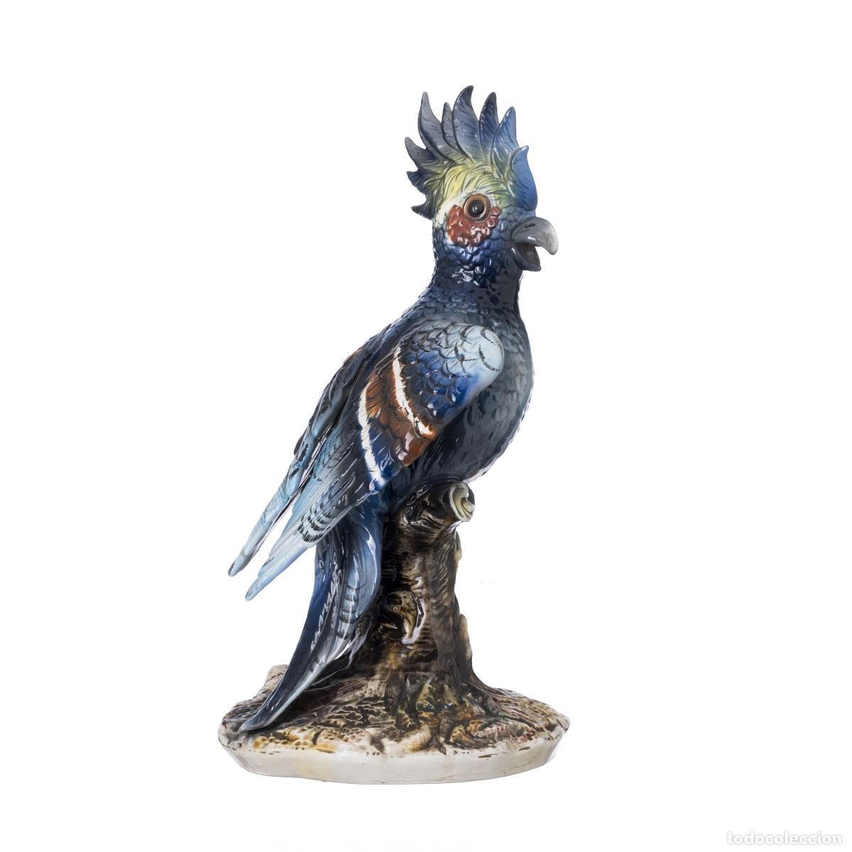 B&uuml;cher: Porcelana europea - Loro de Capodimonte