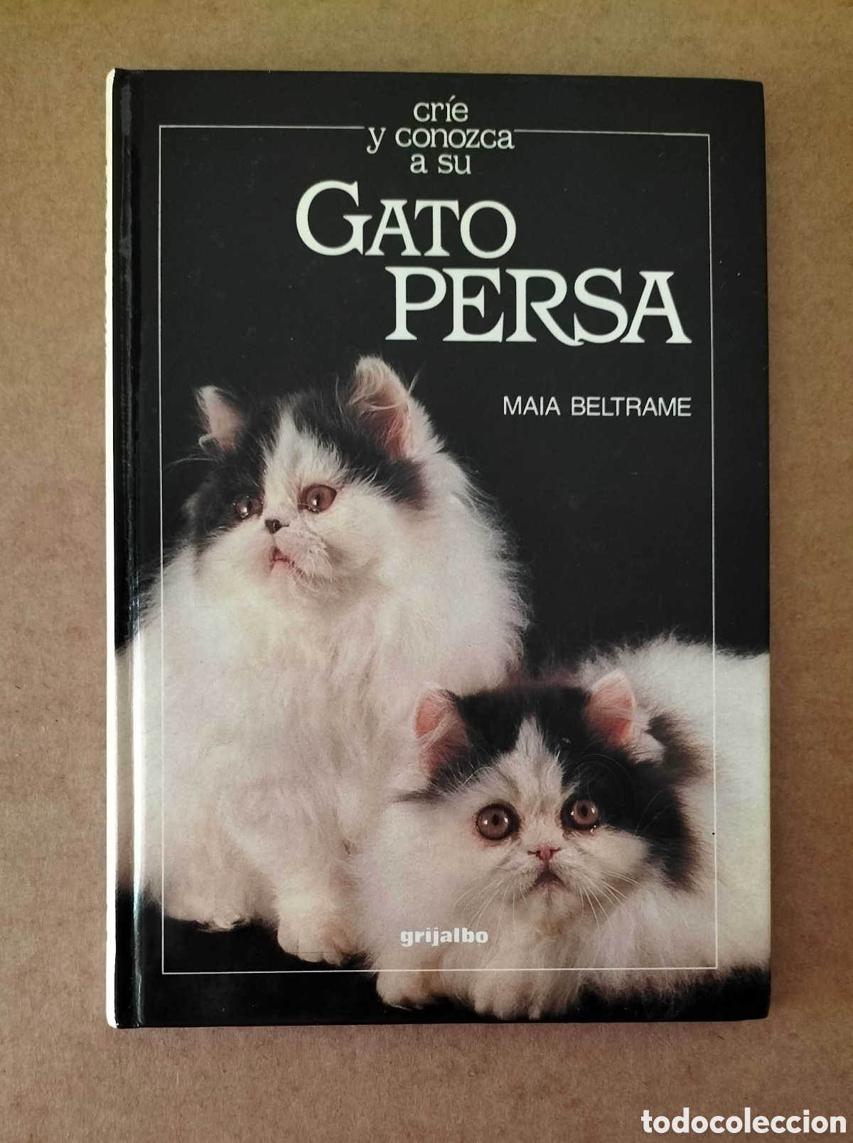 Libros: Cr&iacute;e y conozca a su gato persa. Textos de Maia Beltrame. Libro