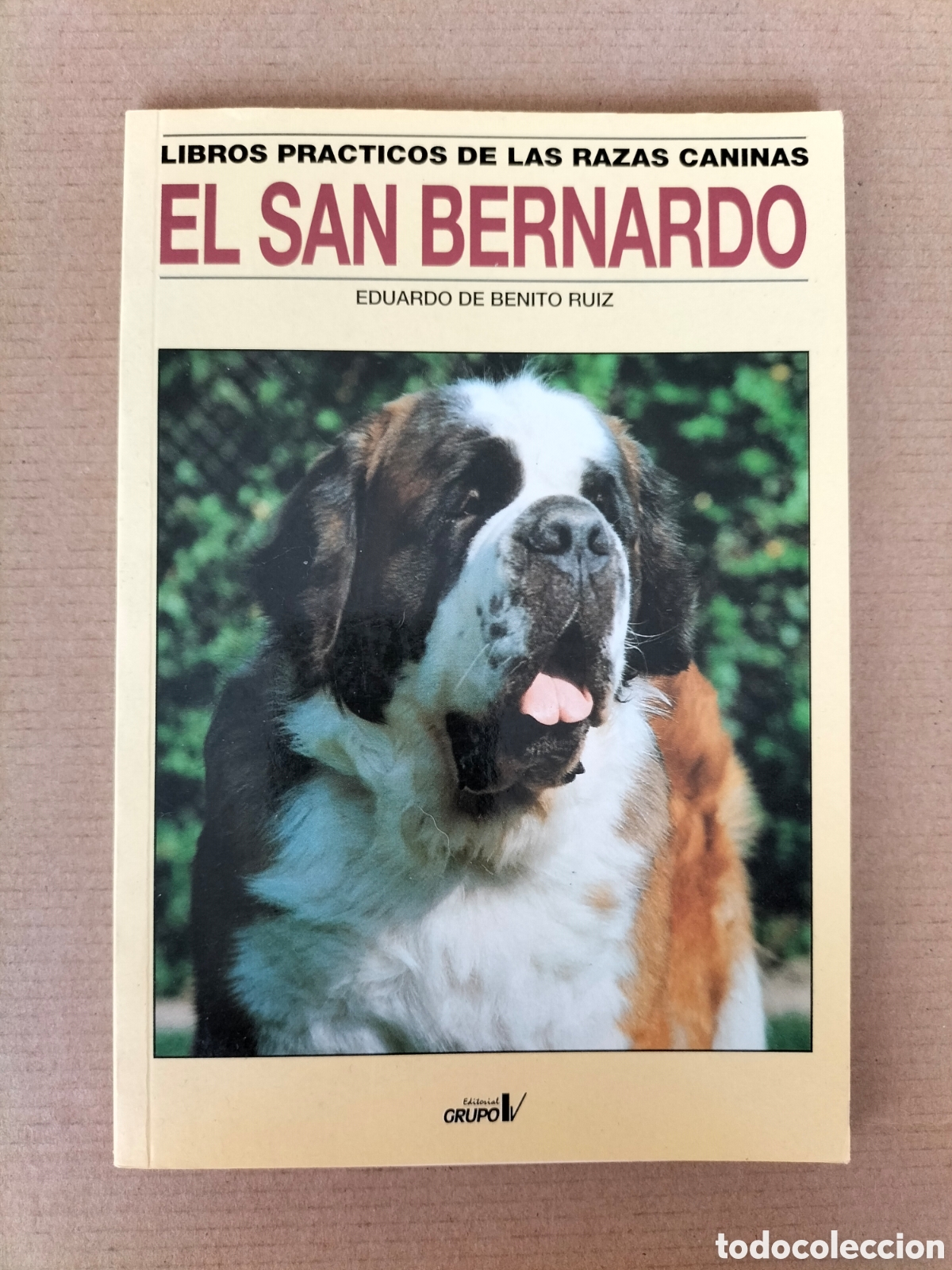 Libros: El San Bernardo. Eduardo de Benito Ruiz. Editorial grupo V, 1998. Libro