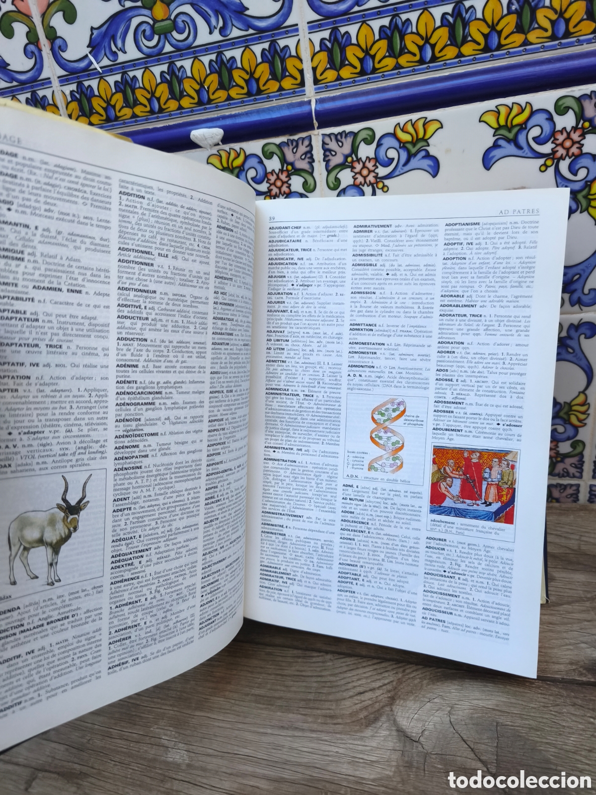 Libros: Diccionario Petit Larousse en Couleurs - Foto 2